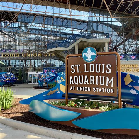 stl aquarium